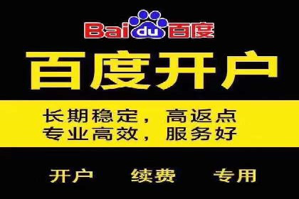案例分析：百度推广排名提升的优化策略